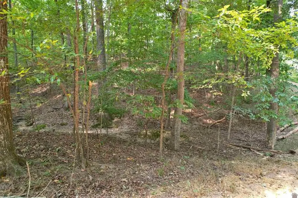 1137 Steamboat Road Gilbertsville KY 42044