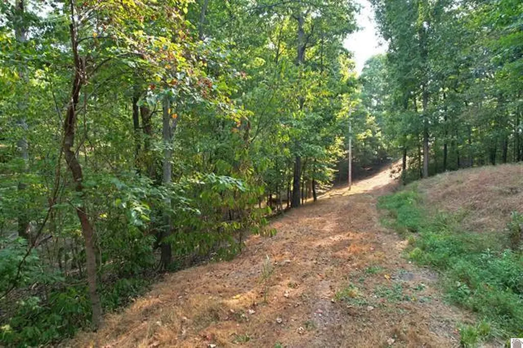 1137 Steamboat Road Gilbertsville KY 42044
