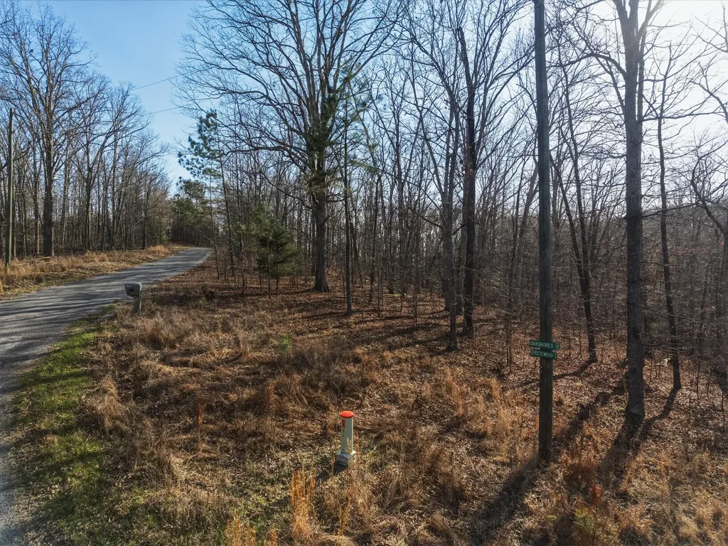 00 Breezewood Drive New Concord KY 42076