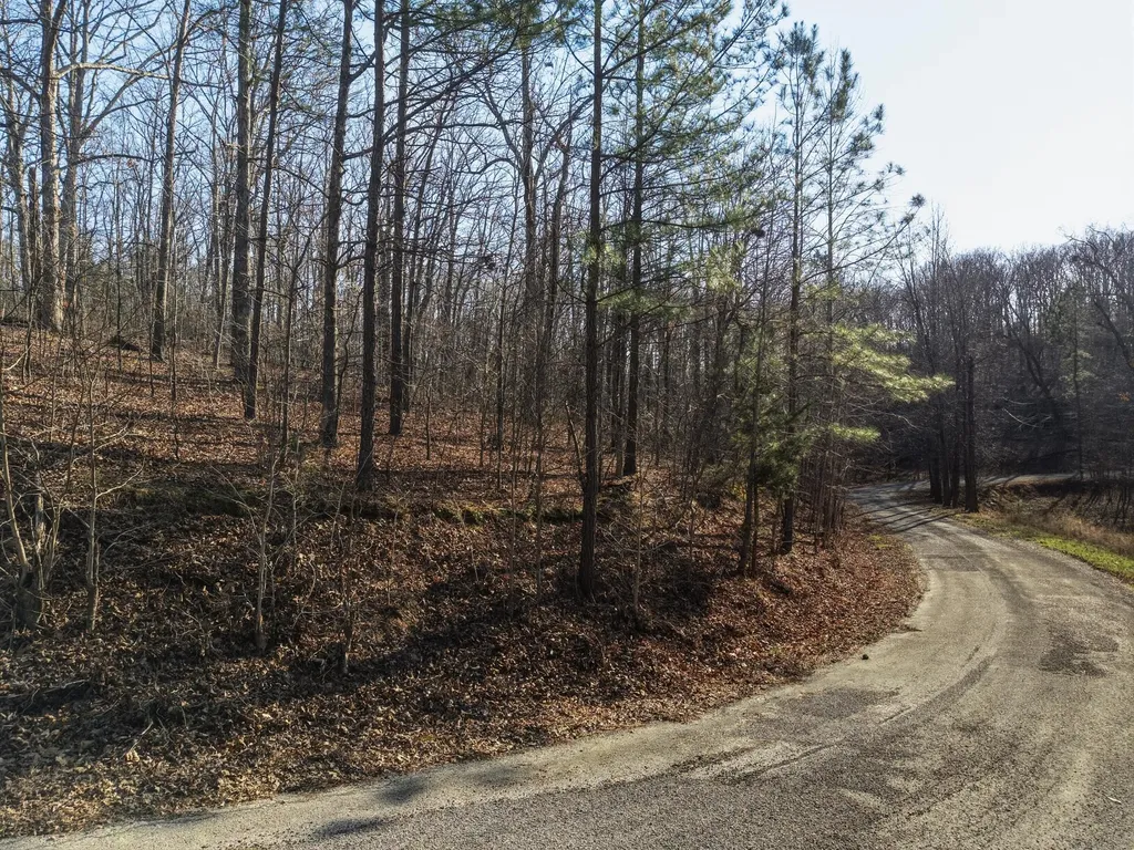 00 Breezewood Drive New Concord KY 42076
