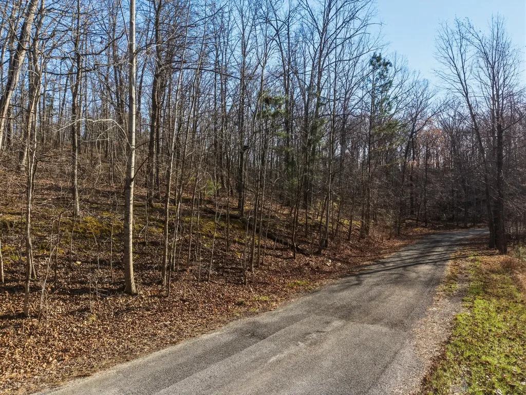 00 Breezewood Drive New Concord KY 42076