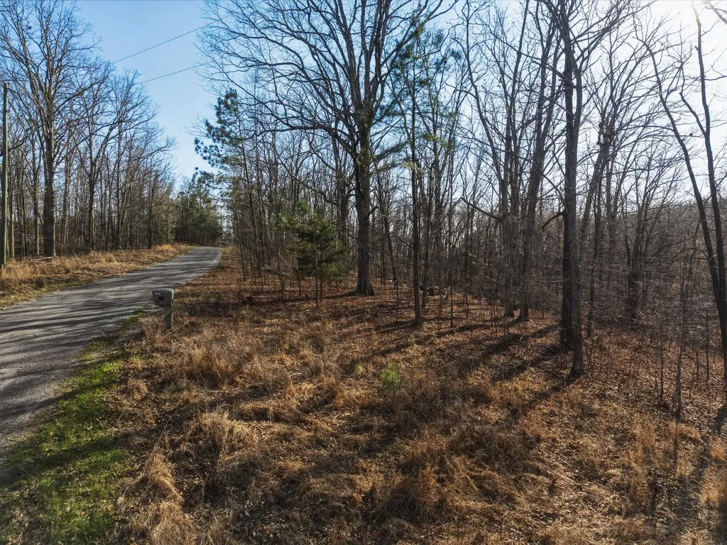 00 Breezewood Drive New Concord KY 42076