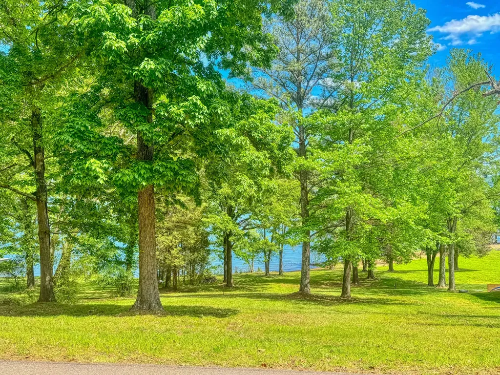 284 A Lakeshore Drive New Concord KY 42076