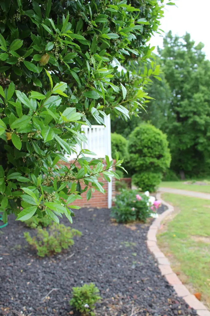 245 Braddie Cove Paducah KY 42001