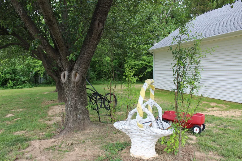 245 Braddie Cove Paducah KY 42001