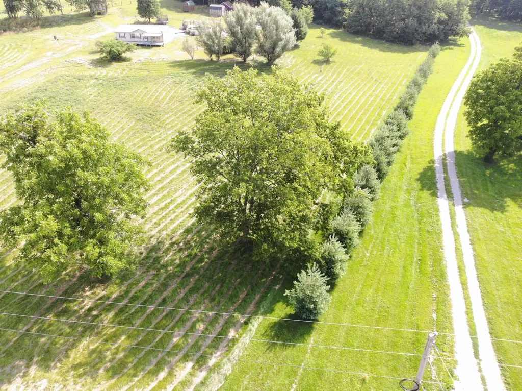 1330 Robinson Road Cynthiana KY 41031