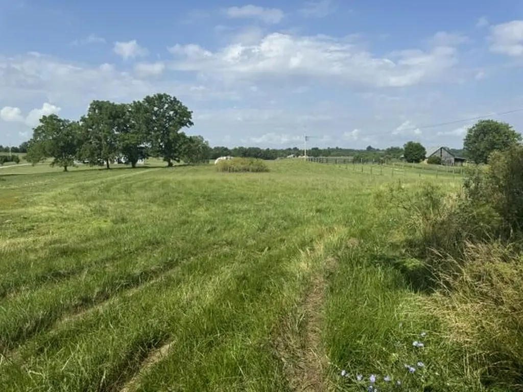 1330 Robinson Road Cynthiana KY 41031