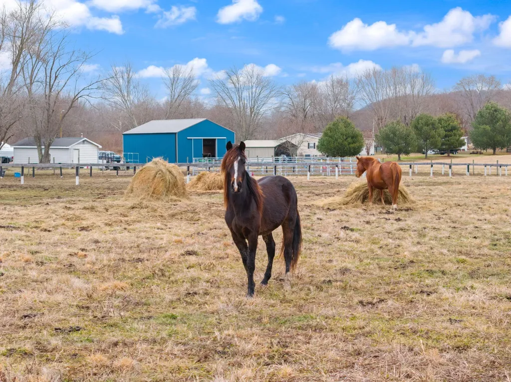 121 Isle Mill Road Salt Lick KY 40371