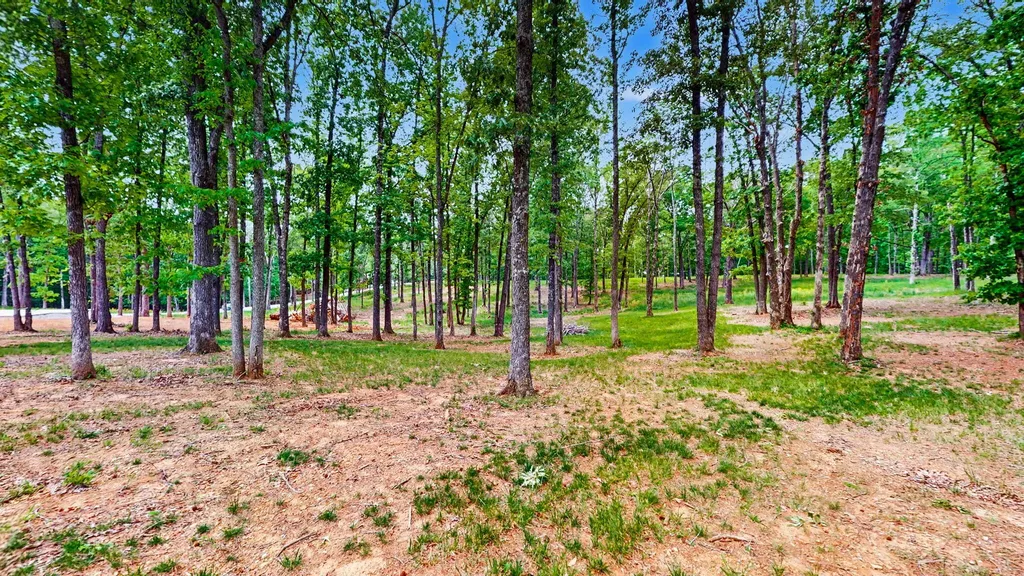 145 Serenity Village Benton KY 42025