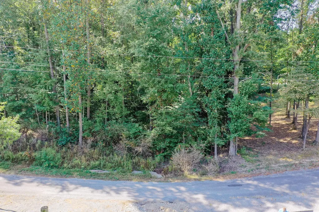 Lot 81 Rockcastle Lakeshore Drive Cadiz KY 42211