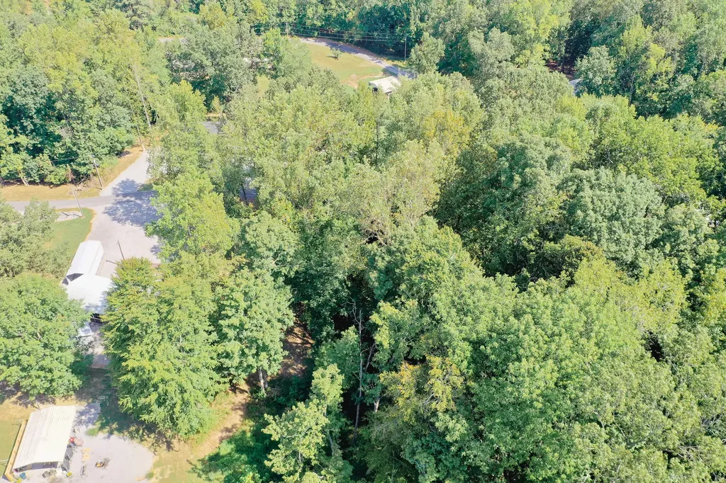 Lot 81 Rockcastle Lakeshore Drive Cadiz KY 42211