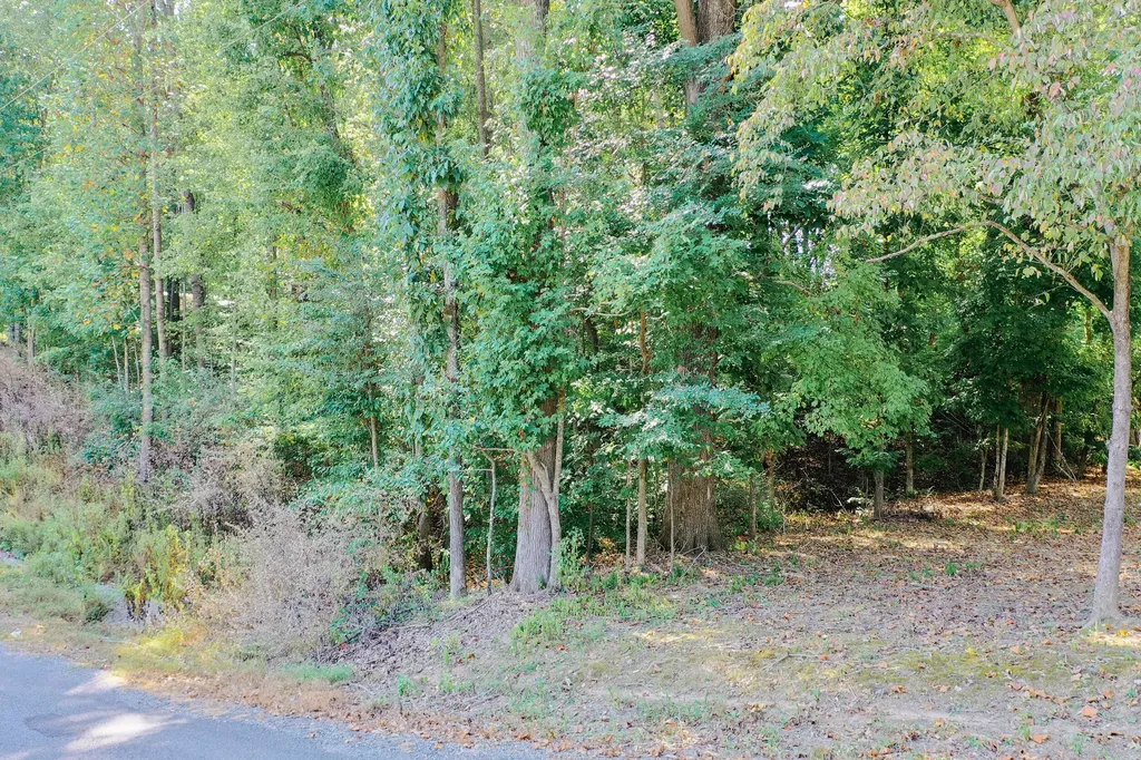 Lot 81 Rockcastle Lakeshore Drive Cadiz KY 42211