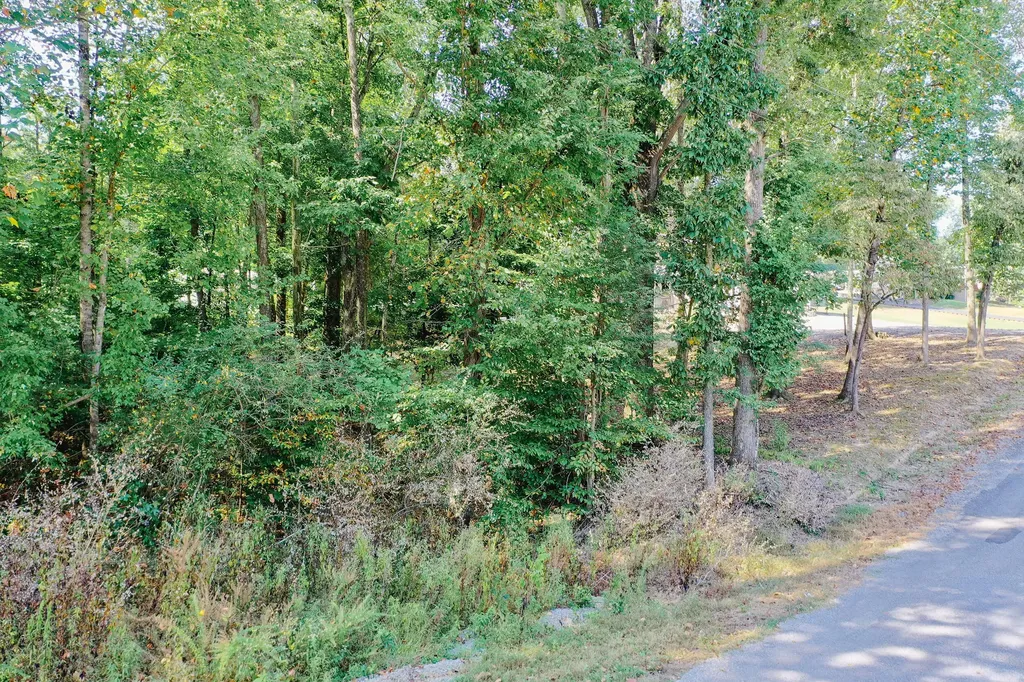 Lot 81 Rockcastle Lakeshore Drive Cadiz KY 42211