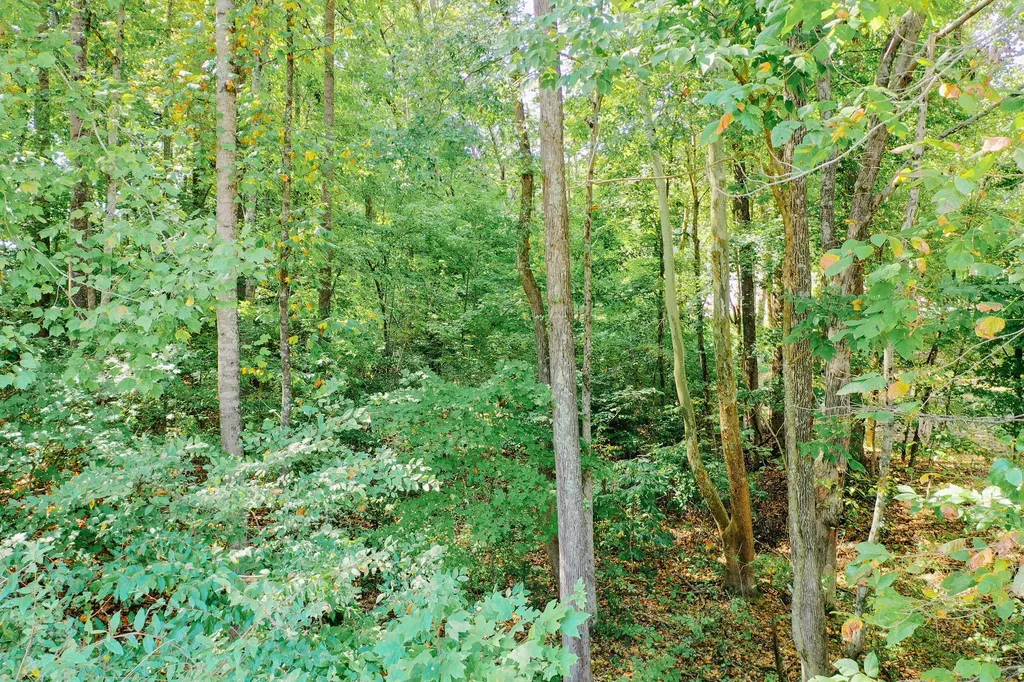 Lot 81 Rockcastle Lakeshore Drive Cadiz KY 42211
