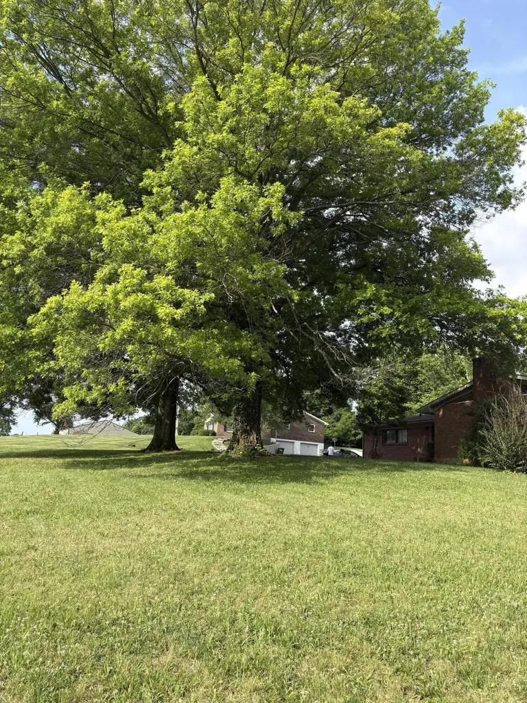 3489 Us-62 Cynthiana KY 41031