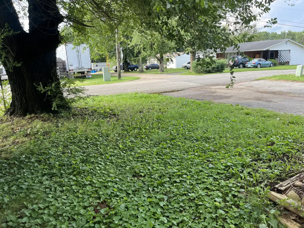 105 Brown Street Albany KY 42602