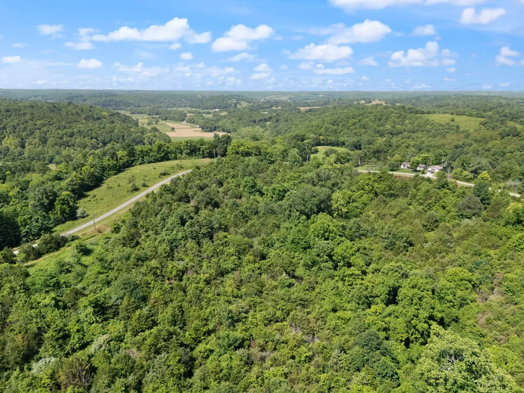 9999 Mann Road Mount Olivet KY 41064