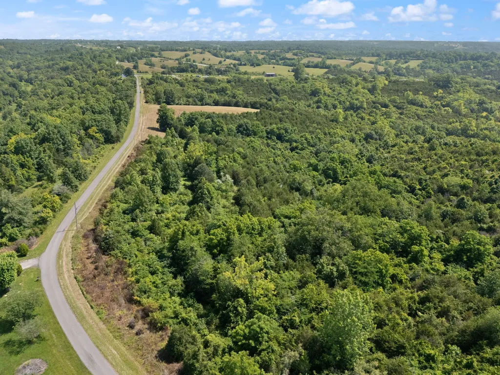 9999 Mann Road Mount Olivet KY 41064