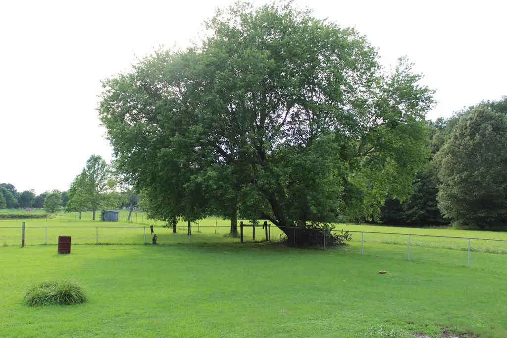 245 County Line Road Paducah KY 42003
