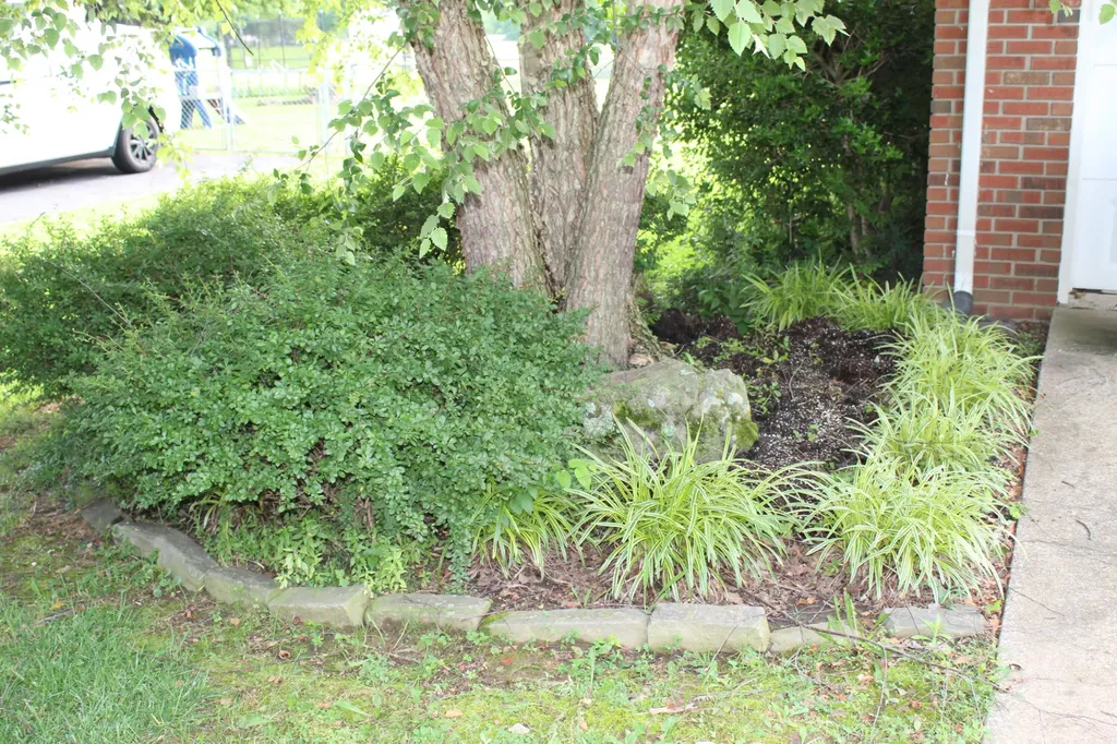 245 County Line Road Paducah KY 42003