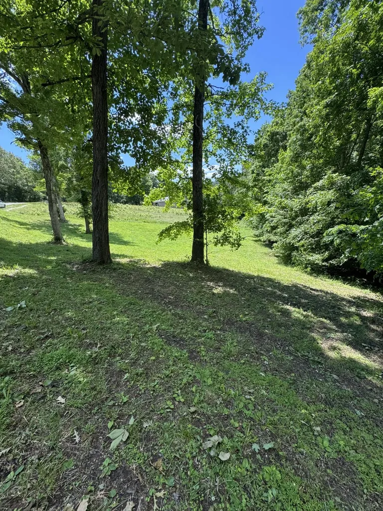 Lot #35 E Cobblestone Court Kuttawa KY 42055