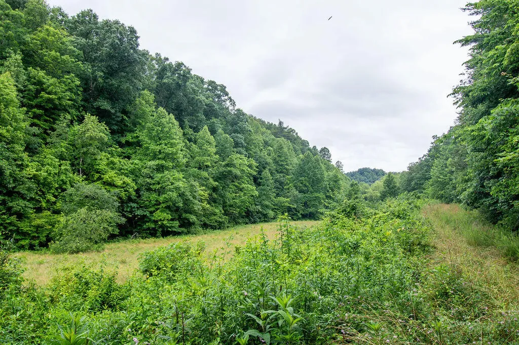 0 R Vancleve Road Campton KY 41301
