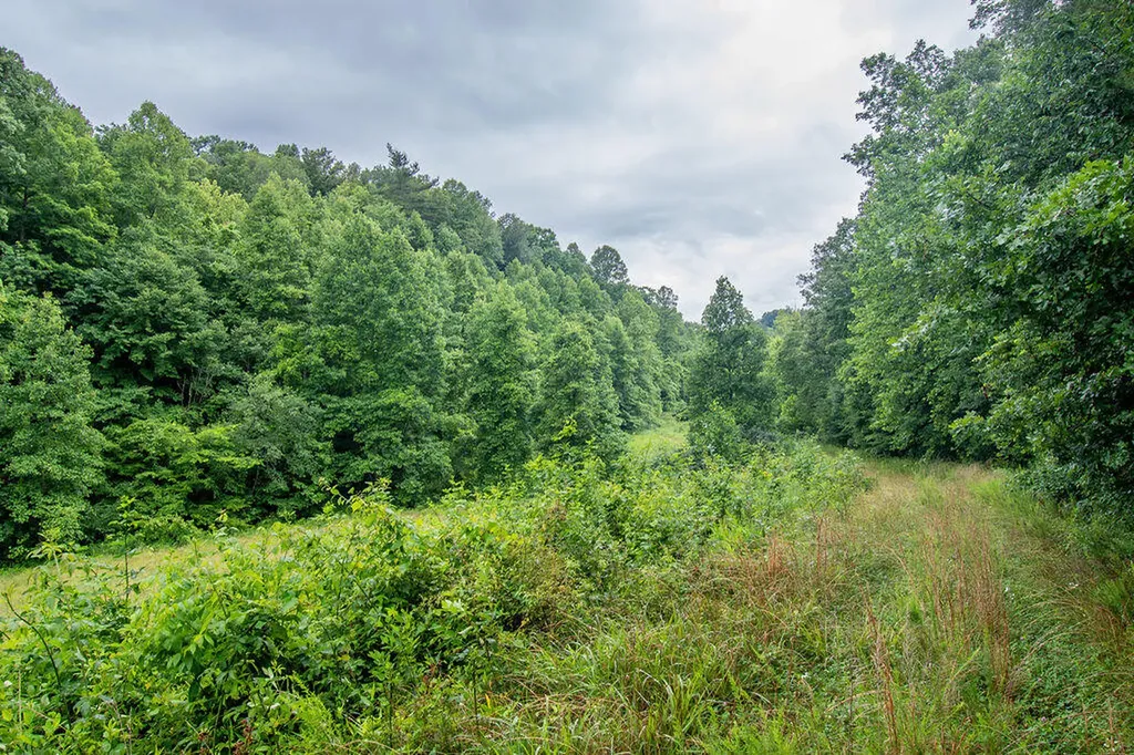 0 R Vancleve Road Campton KY 41301