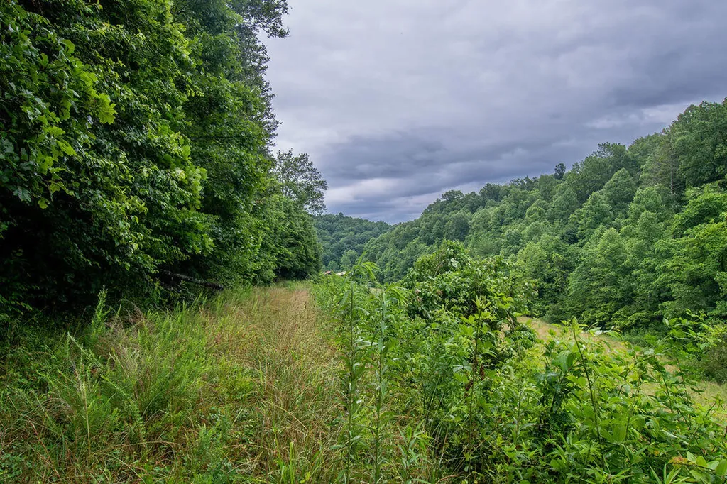 0 R Vancleve Road Campton KY 41301