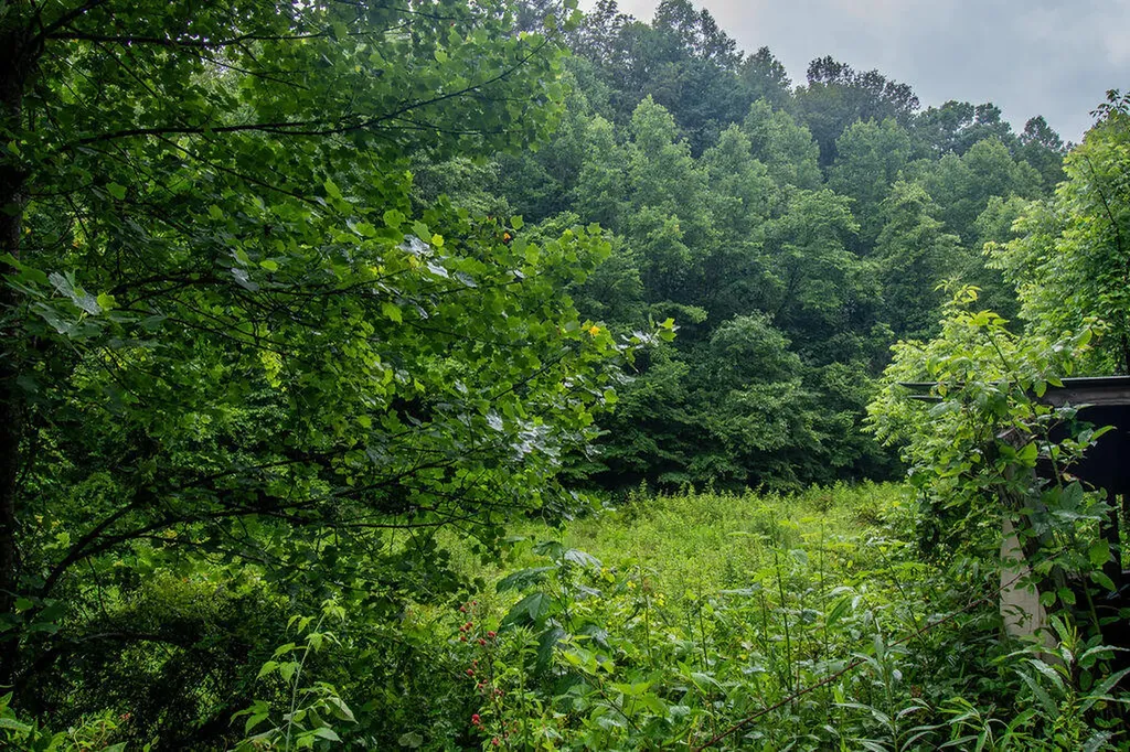 0 R Vancleve Road Campton KY 41301