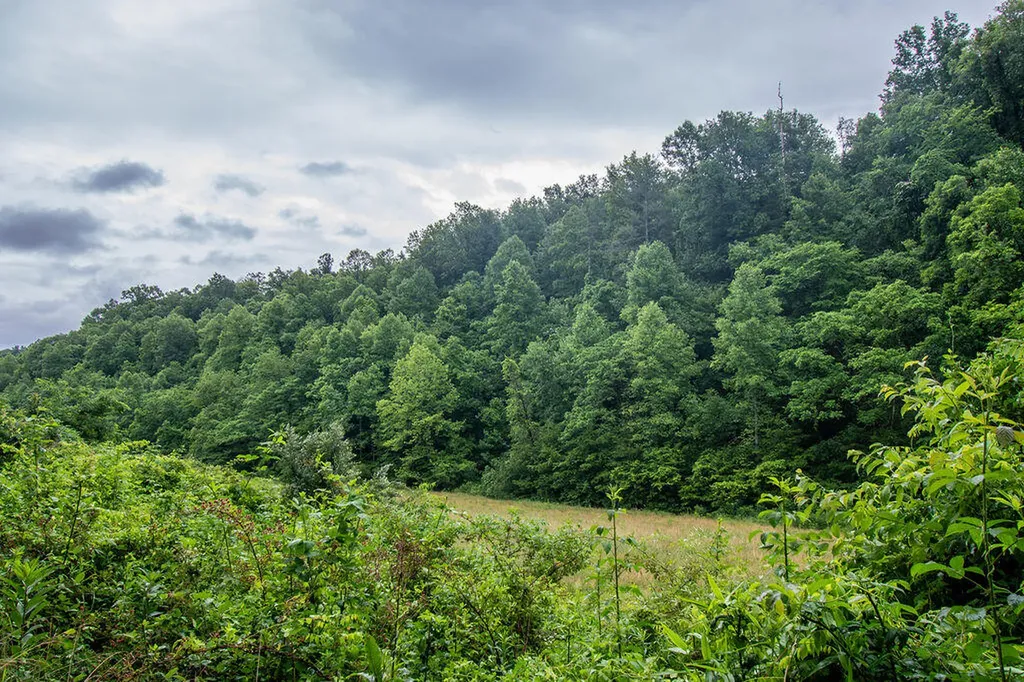0 R Vancleve Road Campton KY 41301