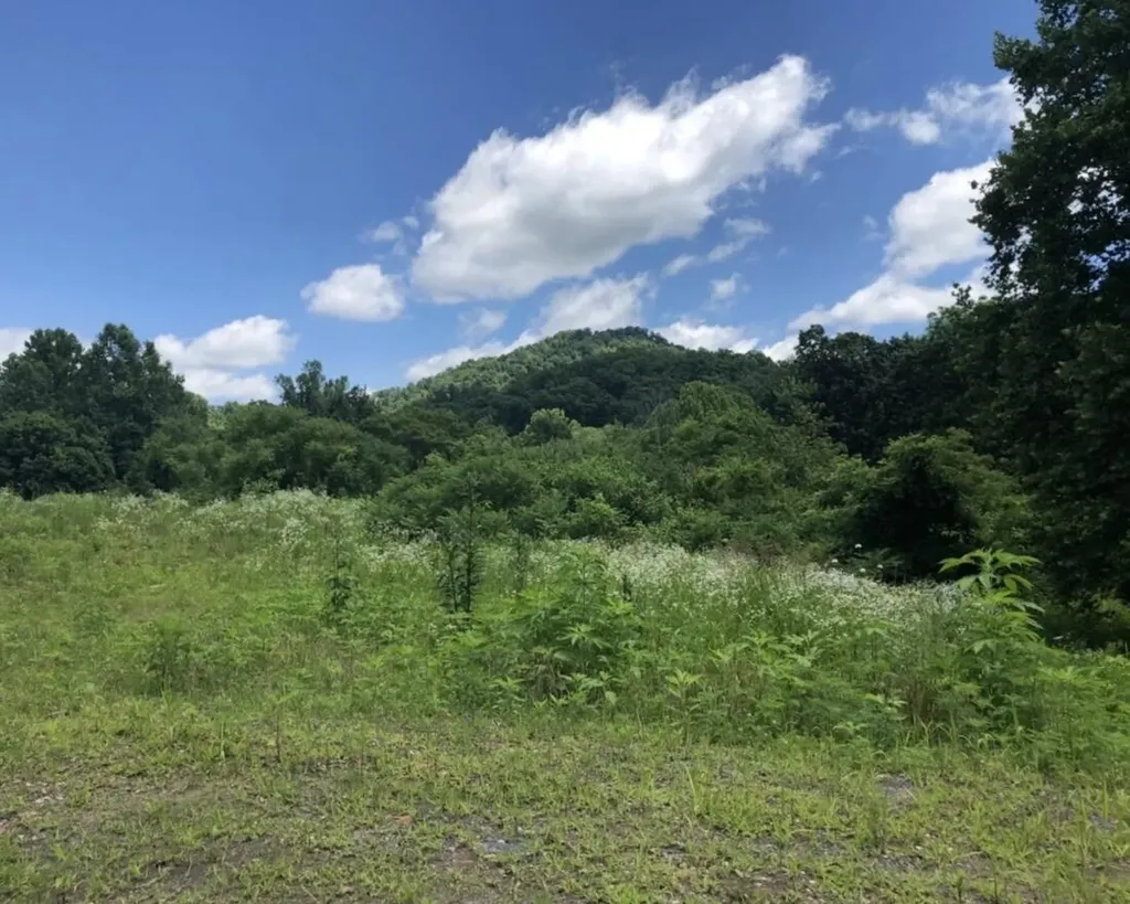 2251 S Highway 421 Manchester KY 40962