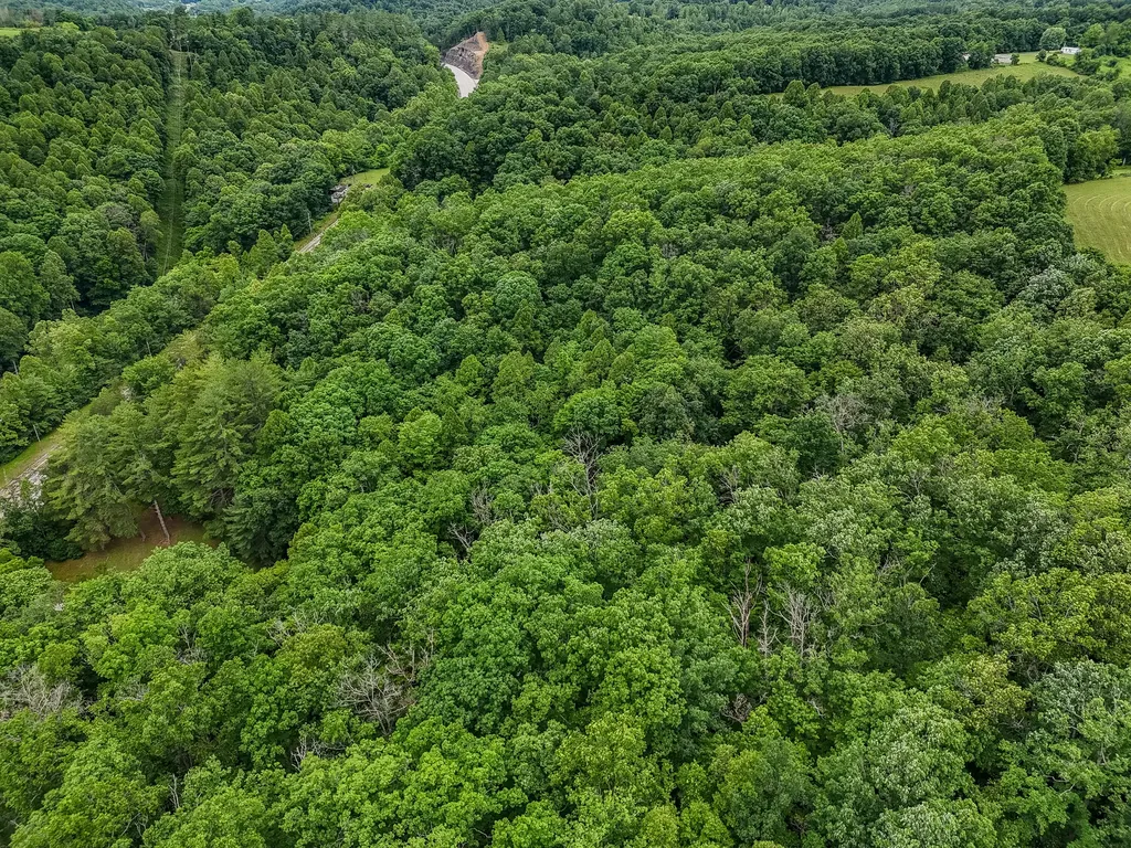 16596 W Us. Highway 60 Olive Hill KY 41164
