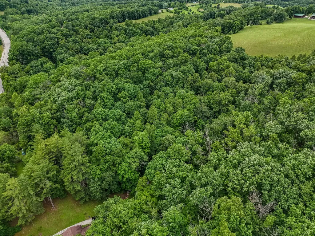 16596 W Us. Highway 60 Olive Hill KY 41164