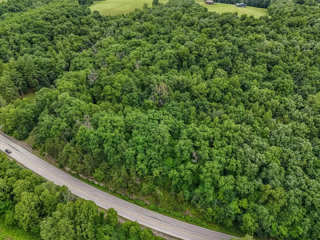 16596 W Us. Highway 60 Olive Hill KY 41164
