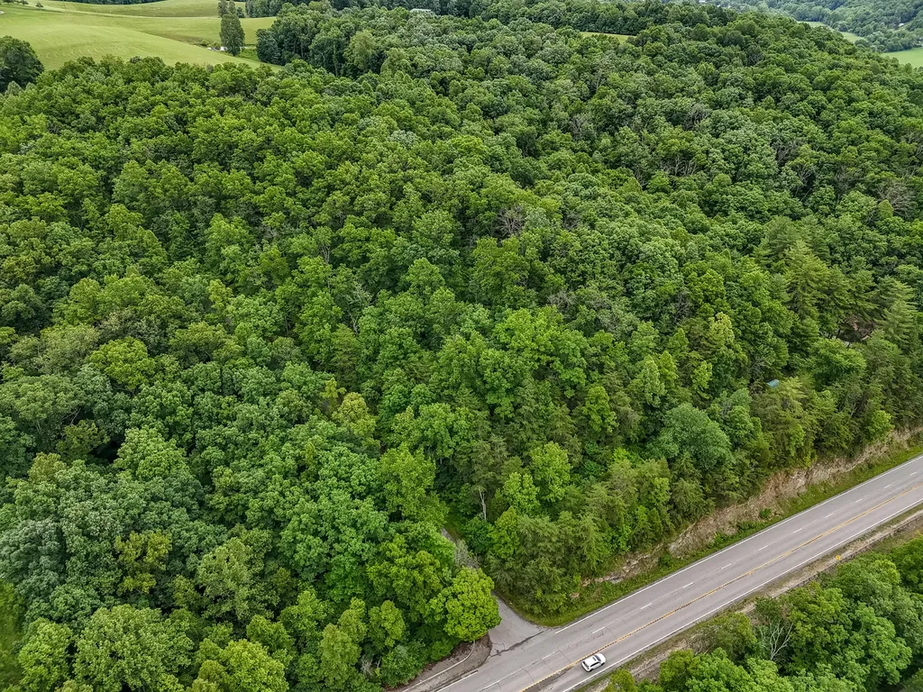 16596 W Us. Highway 60 Olive Hill KY 41164