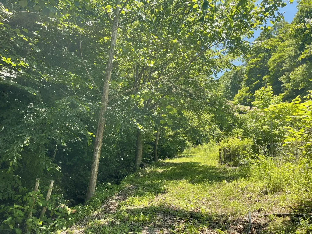 6758 Highway 66 Arjay KY 40902