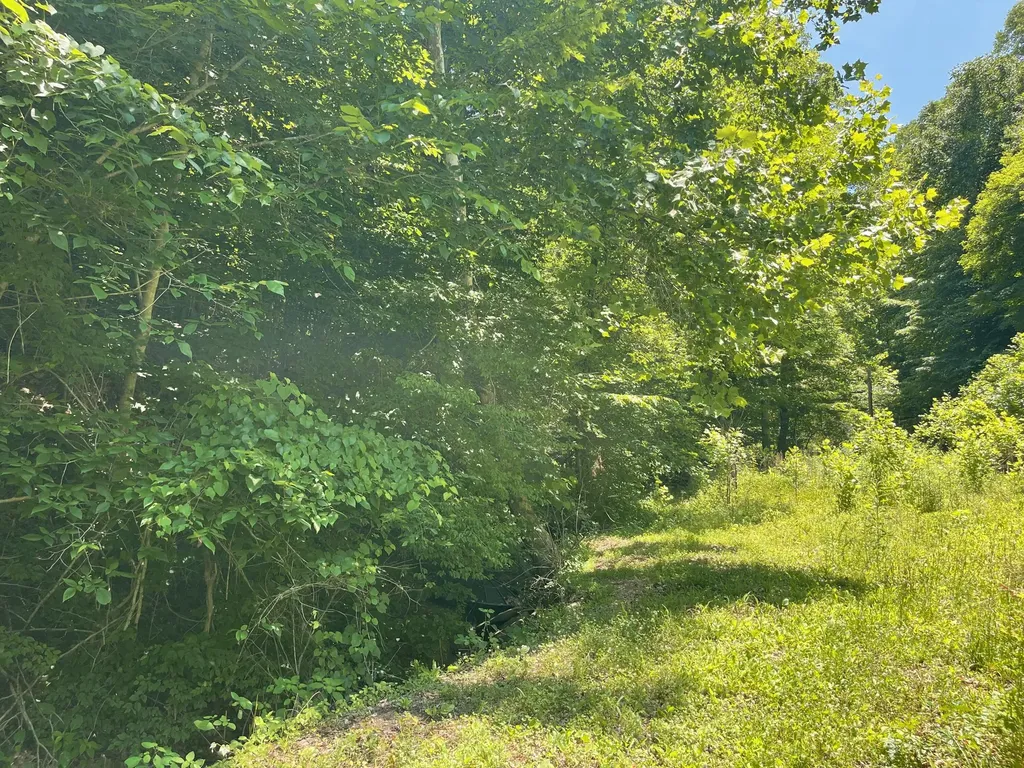 6758 Highway 66 Arjay KY 40902