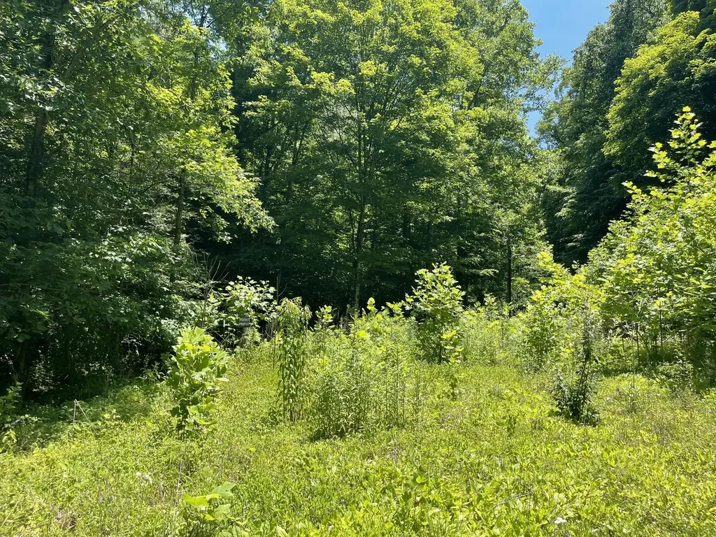 6758 Highway 66 Arjay KY 40902
