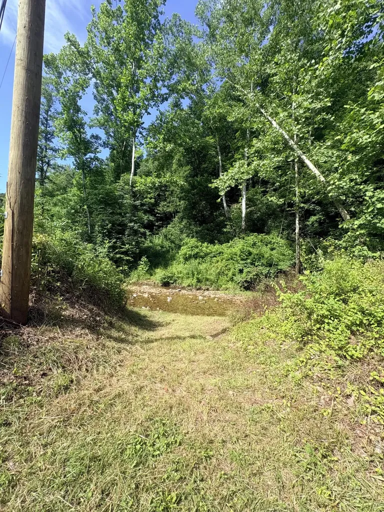 4156 Ky-59 Vanceburg KY 41179