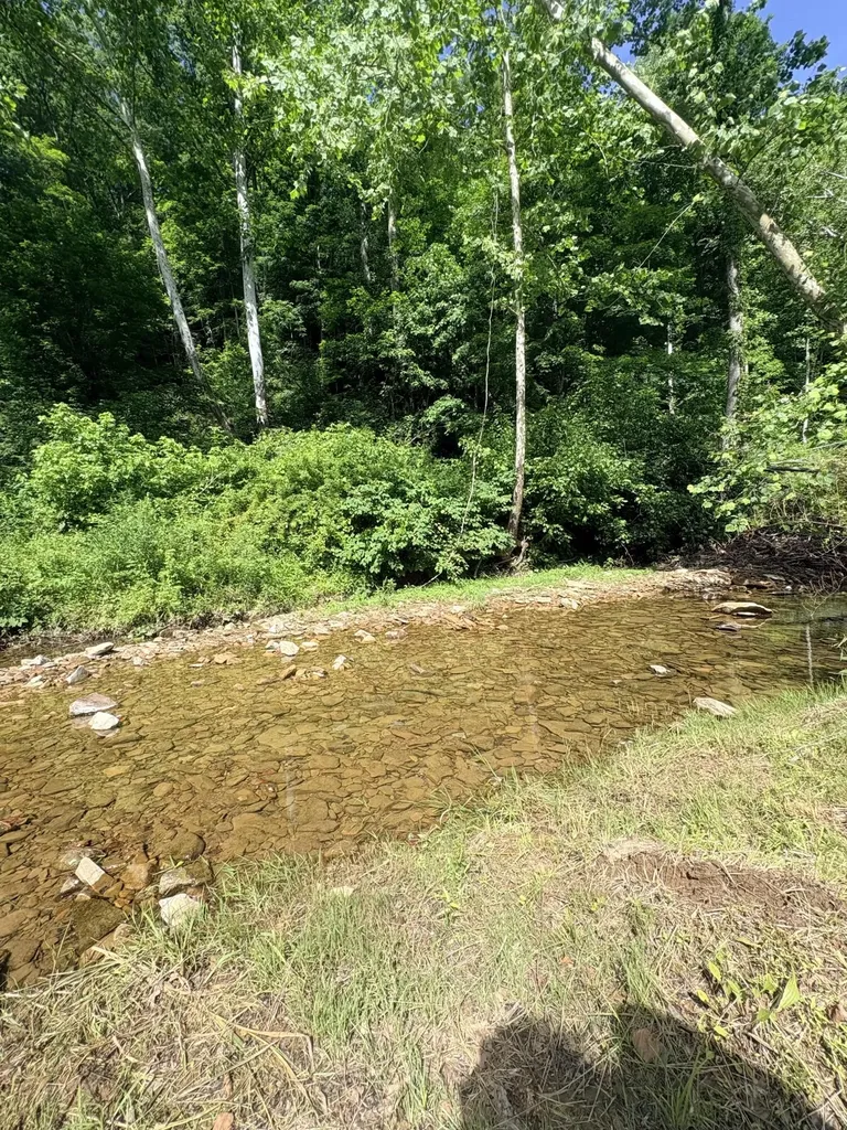 4156 Ky-59 Vanceburg KY 41179