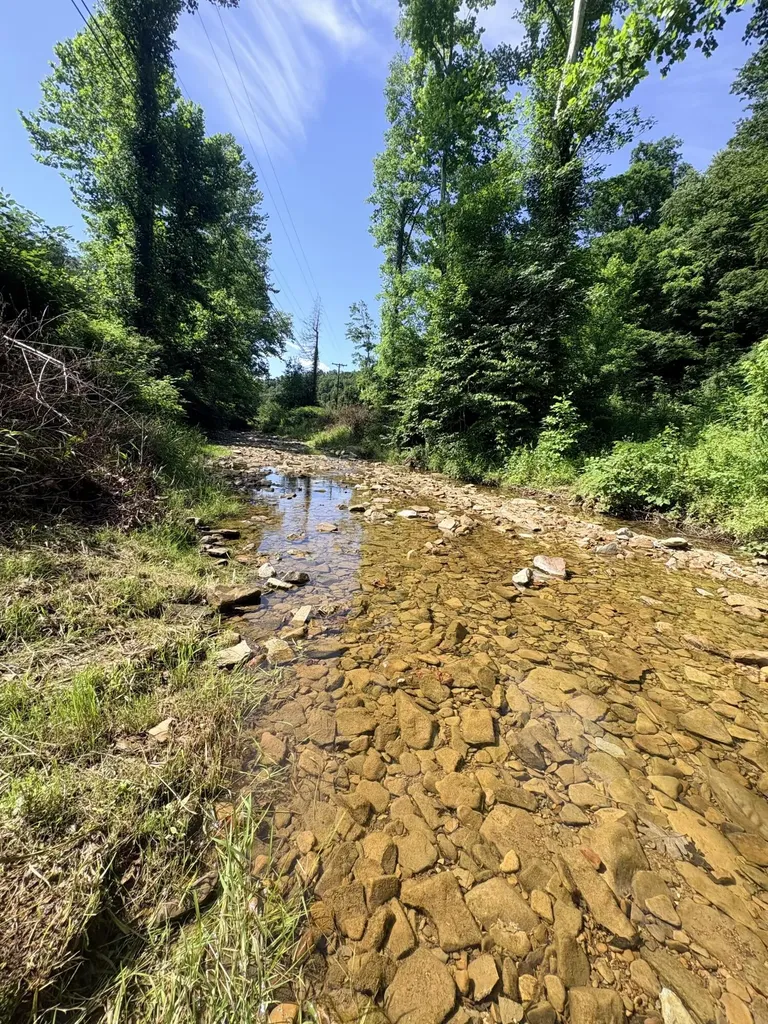 4156 Ky-59 Vanceburg KY 41179
