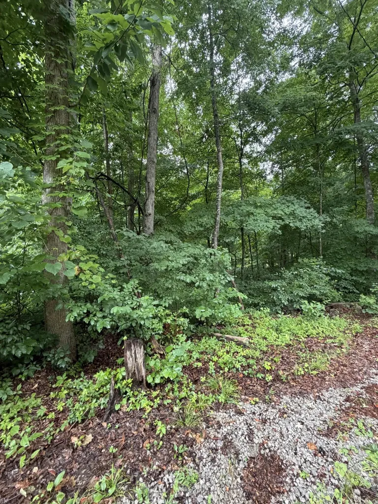 Lot 3 George Hardwick Drive Bronston KY 42518