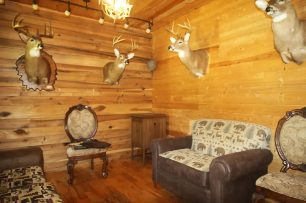 212 Mills Creek Road Flat Lick KY 40935