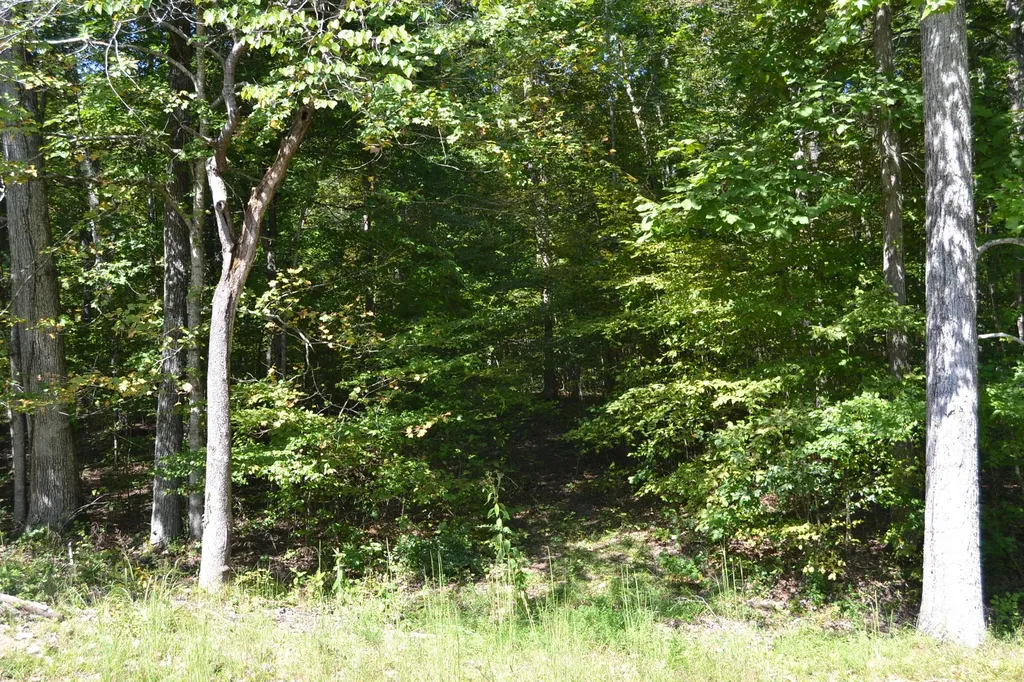 3 Rolling Mill Road Eddyville KY 42038