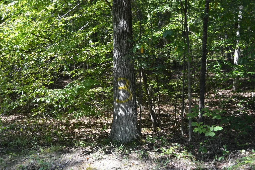3 Rolling Mill Road Eddyville KY 42038
