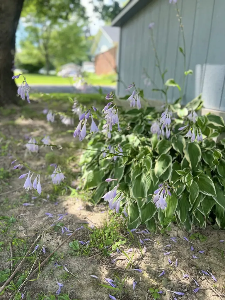 134 Cherokee Avenue Russell Springs KY 42642