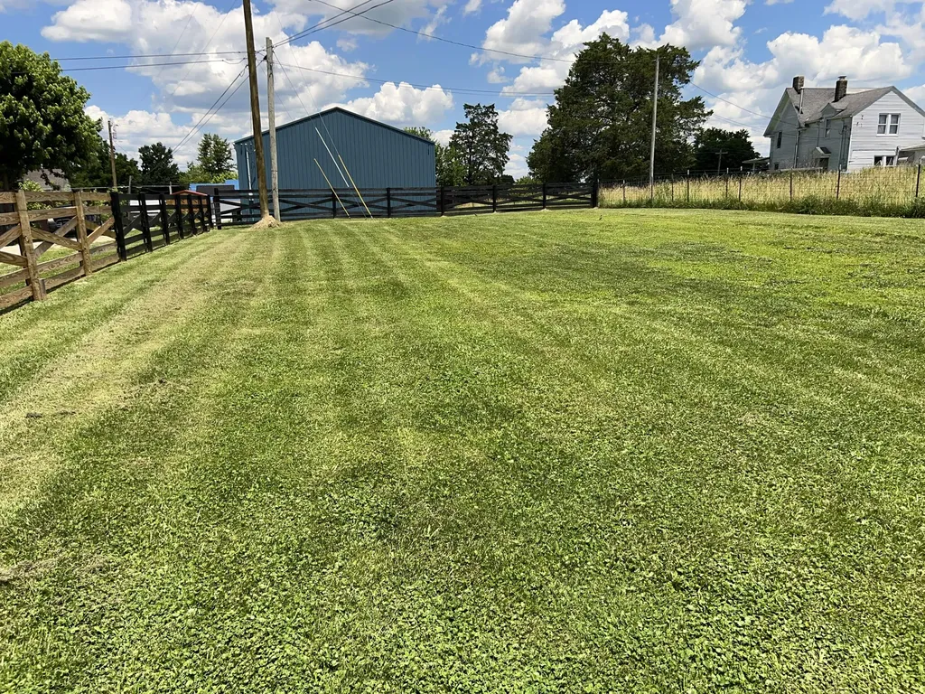 98 Bolton Lane Tollesboro KY 41189