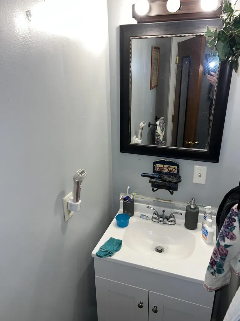 98 Bolton Lane Tollesboro KY 41189