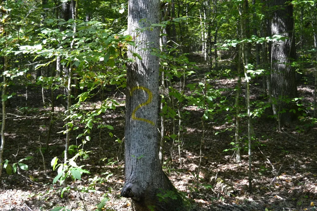 2 Rolling Mill Road Eddyville KY 42038