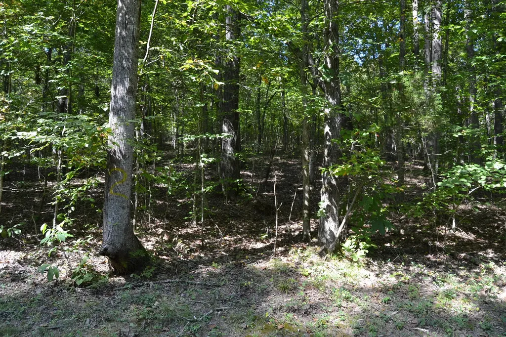 2 Rolling Mill Road Eddyville KY 42038